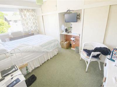 Picture 11